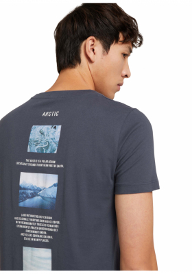 TOM TAILOR DENIM Arctic 8912, Kék Rövid Ujjú Póló