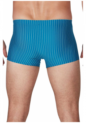 SKINY Power Line 6001, Trunks 2-pack, Midnightblue Stripe