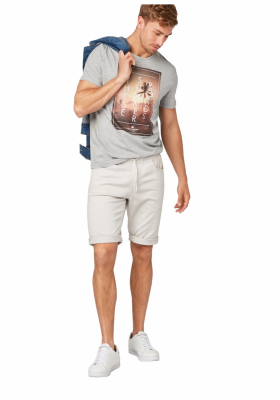 TOM TAILOR Roads 0787, Szürke Rövid Ujjú Póló