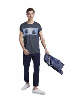 TOM TAILOR DENIM Structured Fotoprint 7765, Kék Rövid Ujjú Póló