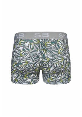 SKINY Multipack Selection 6487, Boxernadrág, Dupla, Zöld Mix