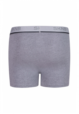 SKINY Casual Selection 6703, Boxers, Oldiron Stripe