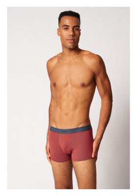 SKINY Cotton Multipack 6919, Húsvéti Répa Boxer, Tripla Csomag