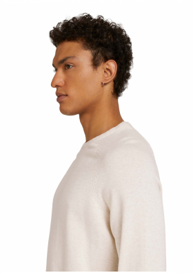 TOM TAILOR DENIM Raglan 8335, Bézs Kötött Pulóver