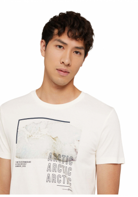 TOM TAILOR DENIM Arctic 8912, Bézs Rövid Ujjú Póló