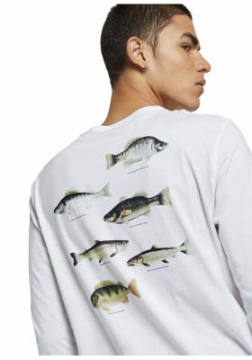 TOM TAILOR DENIM T-Shirt w. Back Fotoprint 3171, Fehér Hosszú Ujjú Pól