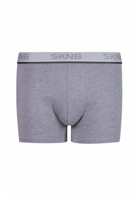 SKINY Casual Selection 6703, Boxers, Oldiron Stripe